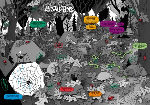 Solution du jeu Romeuf du n° 3888