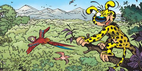 Bienvenido Marsupilami(e)