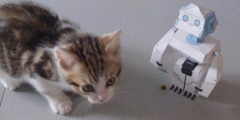 Bravo et merci, amis bricoleurs ! 